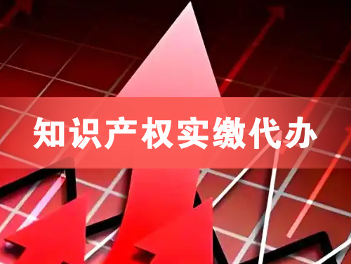 楚雄知识产权实缴资本代办